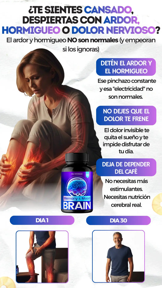 BRAIN MEMORY AND MOOD